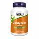 Кордіцепс, Cordyceps, 750 мг, 90 вегетаріанських капсул, NOW foods NOW-03005 фото 1
