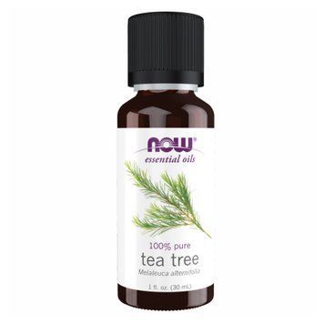 Масло чайного дерева (Tea Tree), Essential Oils, 30 мл, NOW foods NOW-07625 фото